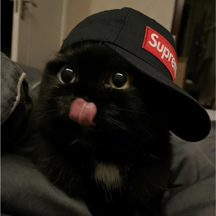 Milk avatar